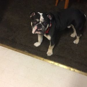 Meet your Posher, Joshua